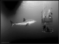   Title Two story apartment rent rough neighborhoodThis photo describes itself. Great White taken Guadalupe. itself Guadalupe  